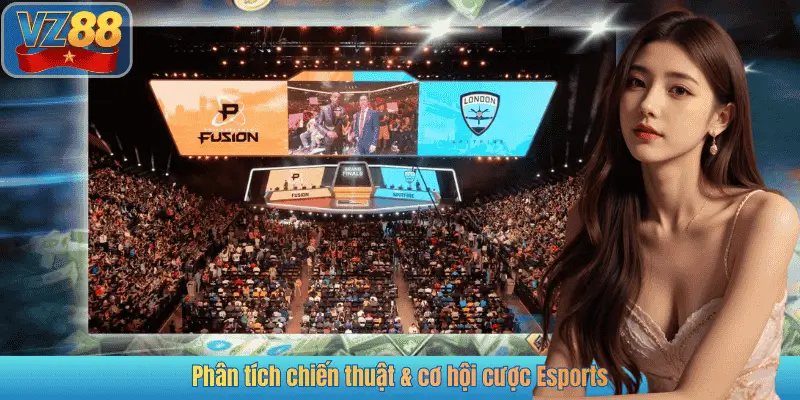 Phân tích chiến thuật & cơ hội cược Esports